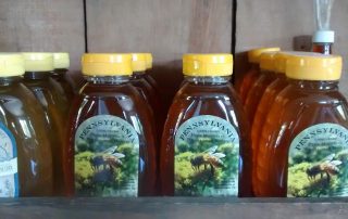 Unfiltered Wildflower Honey