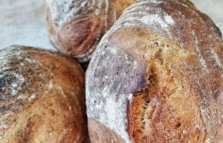 Three loaves of sourdough bread