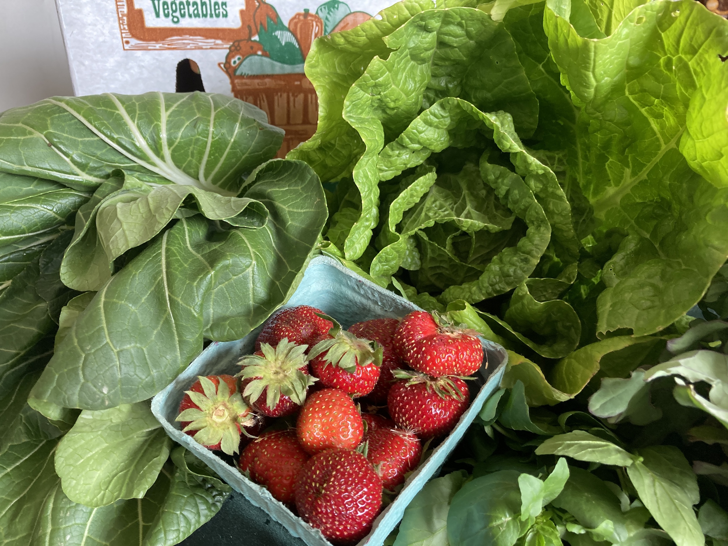 Strawberries with greens - Week 1 CSA 2023 share box