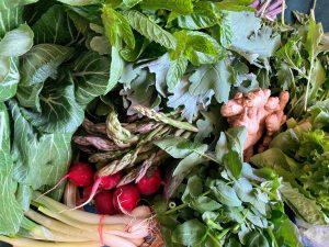 seasonal produce from Willow Haven Farm