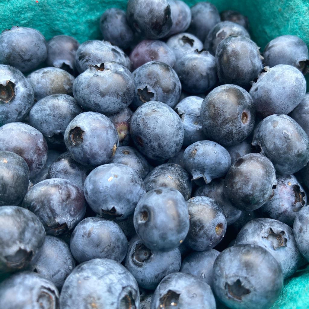 Blueberries close up 