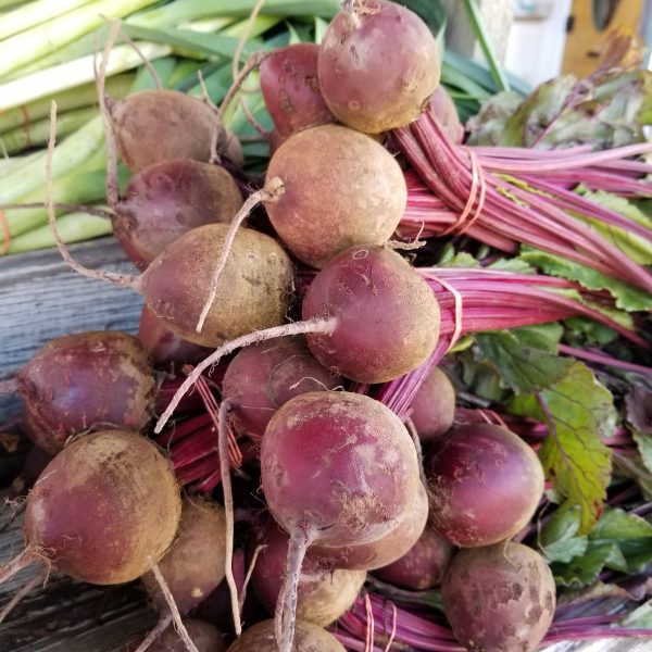 bunched beets