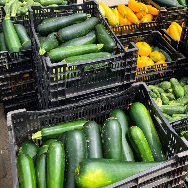 bins of zucchini, green and yellow summer squash