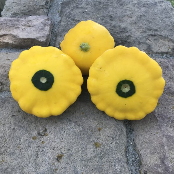 Patty Pan Summer Squash