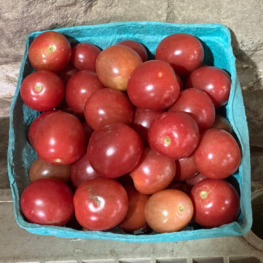 carton of pink red cherry tomatoes