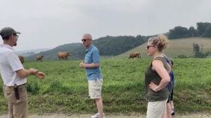 Farmer tour with cows in pasture field