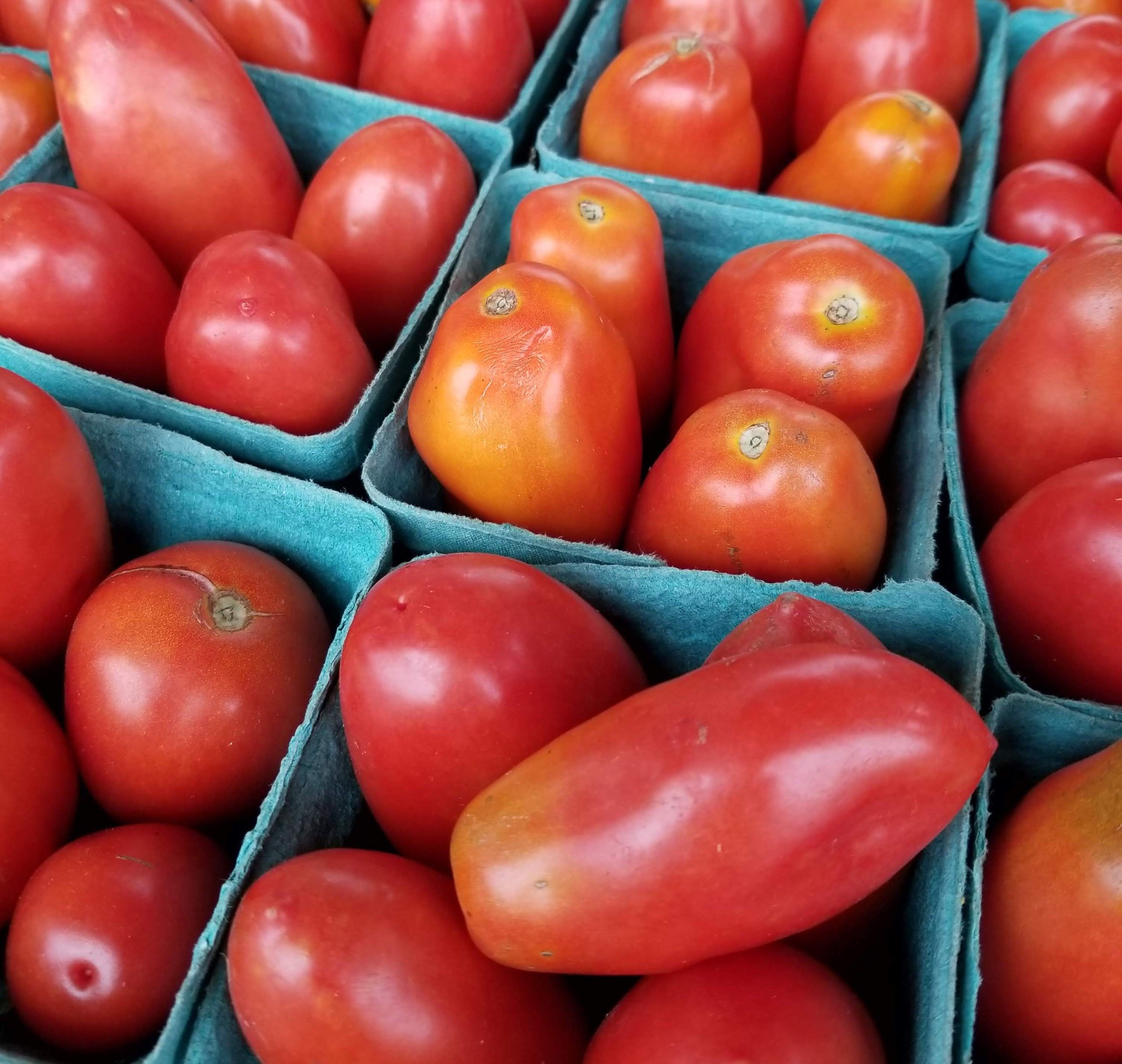 roma tomatoes in quarts