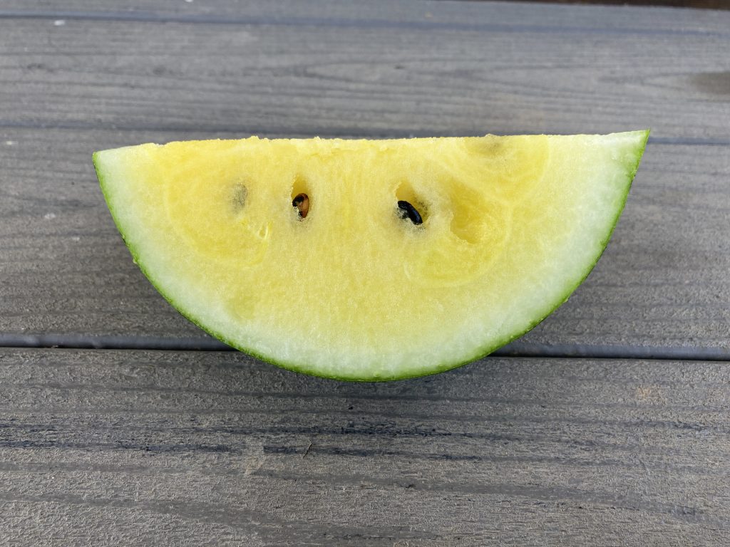 wedge of yellow watermelon