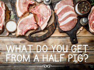 What do you get from a half pig that's been raised on pasture at a local farm?