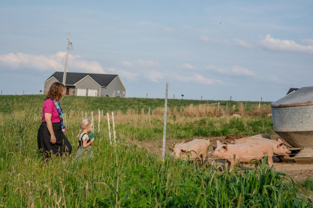 mother and child observe half grown pigs in grass pasture at Willow Haven Farm in the Lehigh Valley PA