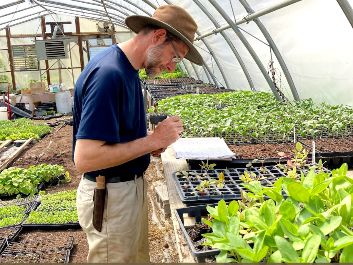 Reuben in greenhouse with seedlings