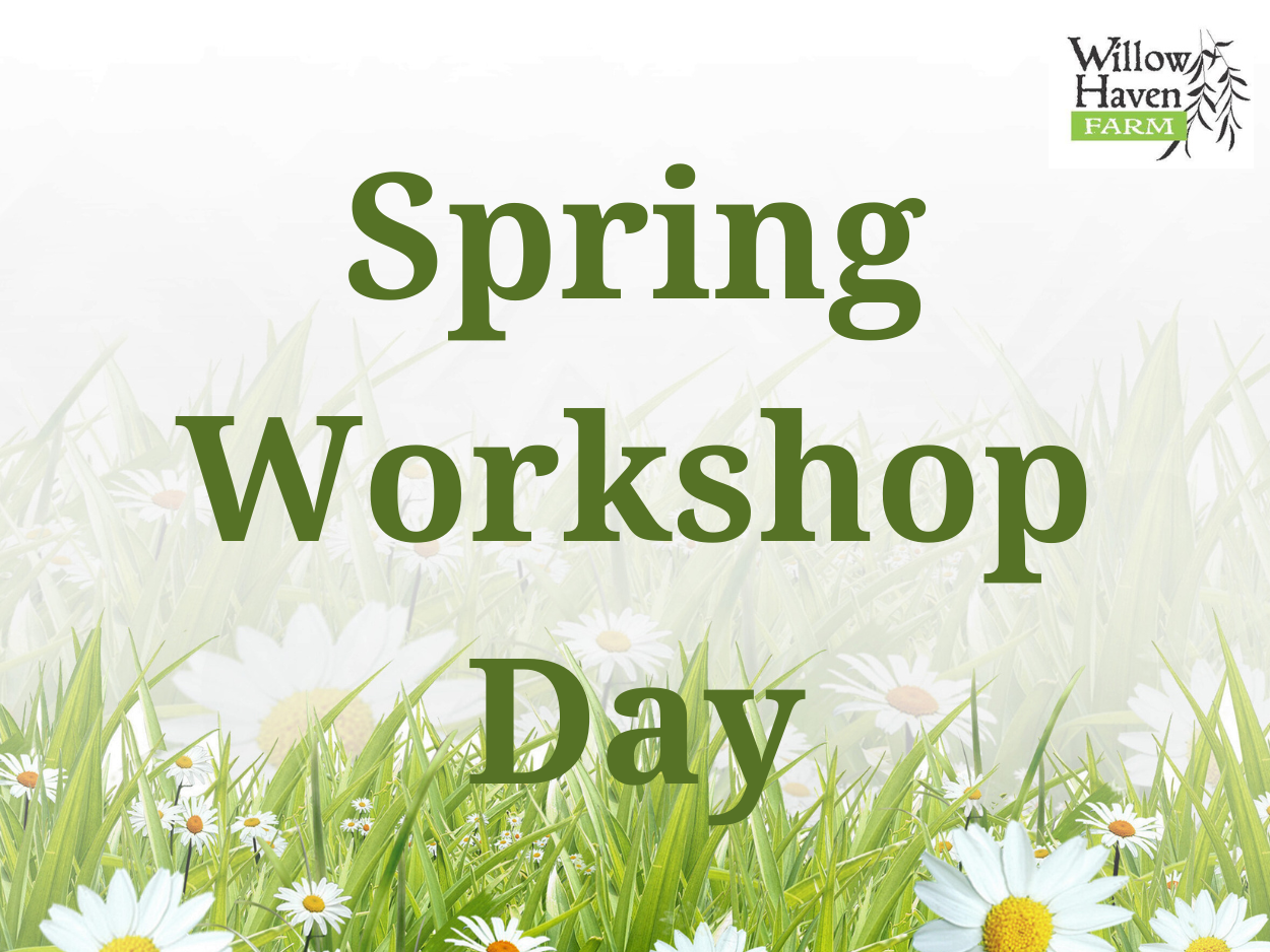 Spring Workshop Day text with grass and daisy flowers