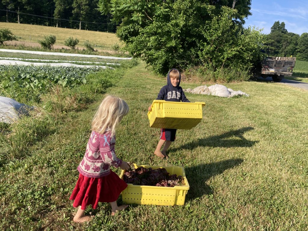 mini farm kids w picking bins