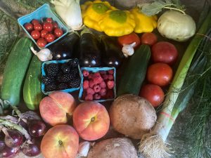 Read more about the article About Your Organic Farm Food: Market Box CSA – July 15, 2024