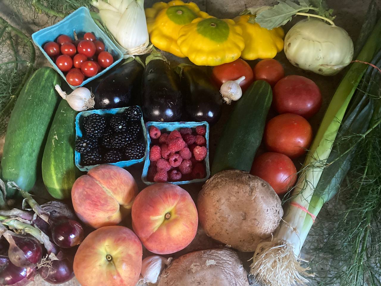 About Your Organic Farm Food: Market Box CSA - July 15, 2024 8