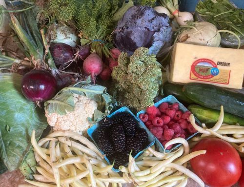 About Your Organic Farm Food: Market Box CSA – July 8, 2024