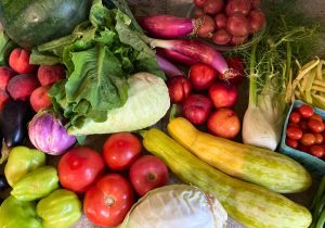 Read more about the article About Your Organic Farm Food: Market Box CSA – July 29, 2024