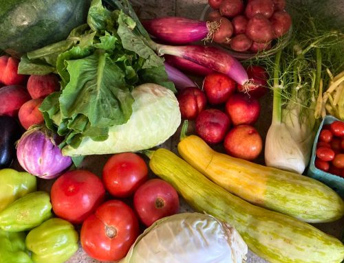 About Your Organic Farm Food: Market Box CSA – July 29, 2024