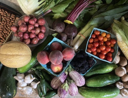 About Your Organic Farm Food: Market Box CSA – July 22, 2024