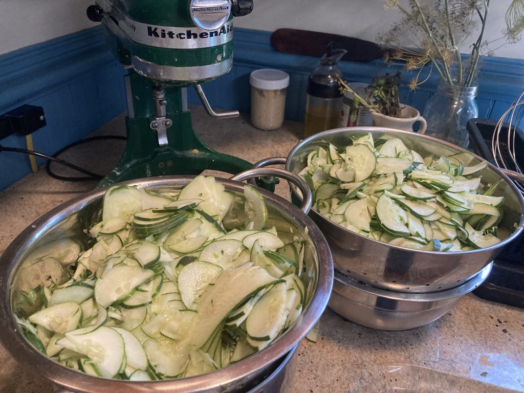 Tessa's Ten Proven Strategies For Organic Cucumber Abundance 3