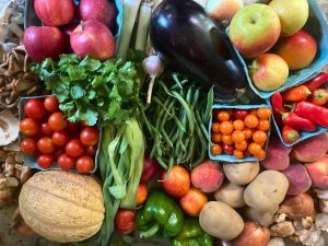 Read more about the article About Your Organic Farm Food: Market Box CSA – August 26, 2024