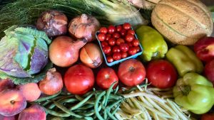 Read more about the article About Your Organic Farm Food: Market Box CSA – August 5, 2024