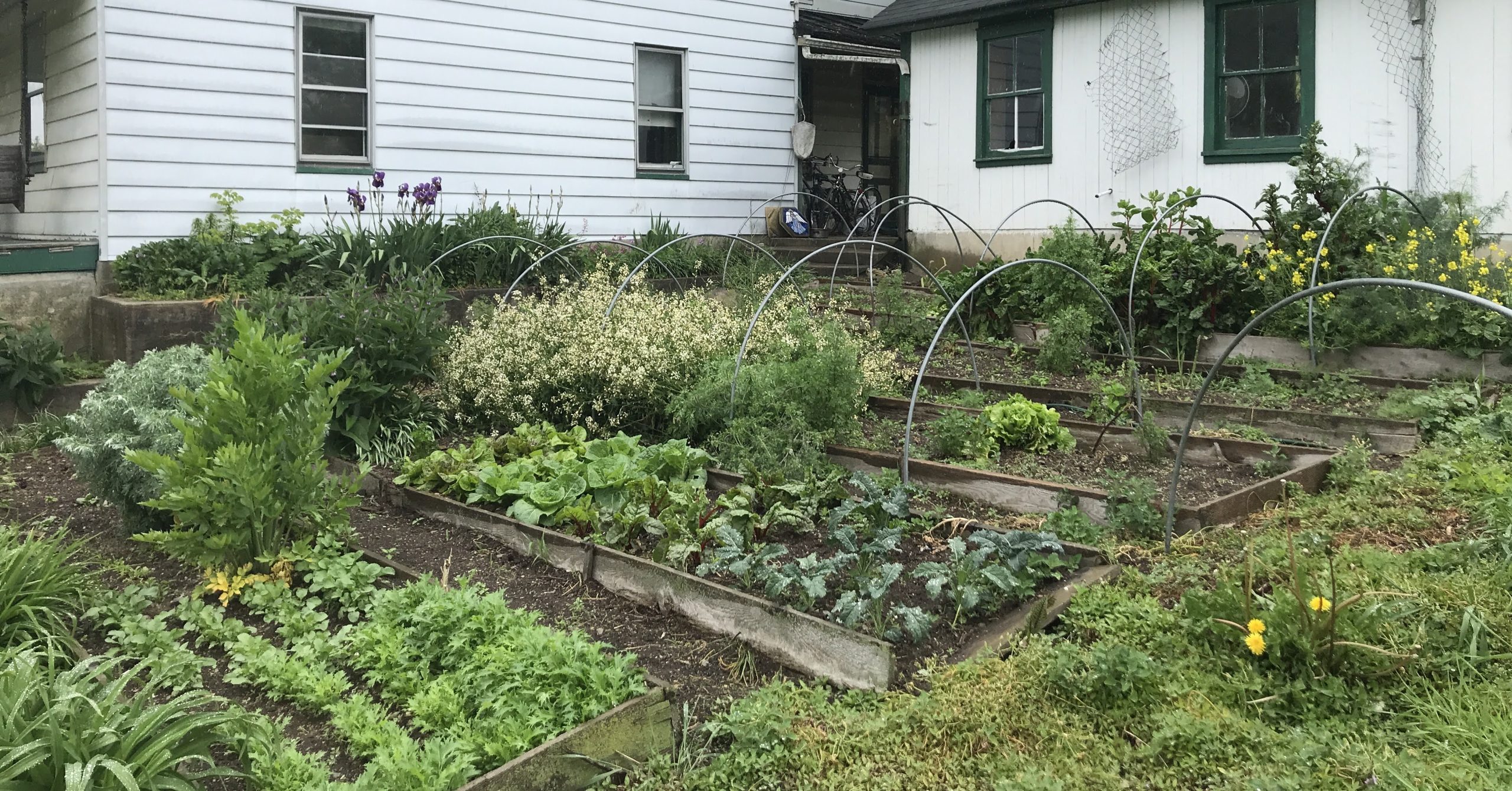 homesteading garden