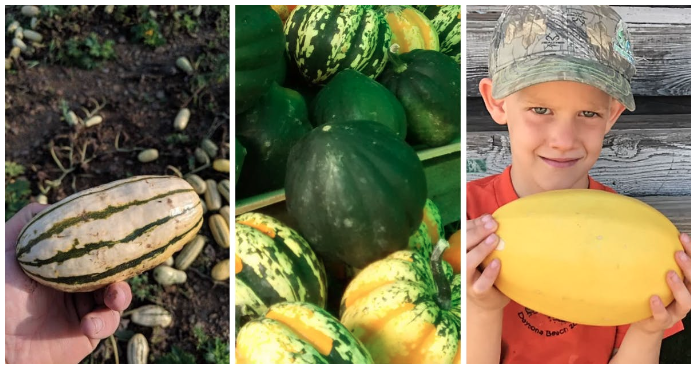 Powerful Nutrition: 10 Ways To Embrace Winter Squash In Your Diet 4