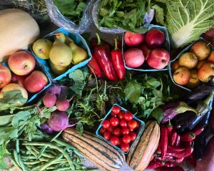 Read more about the article About Your Organic Farm Food: Market Box CSA – September 16, 2024