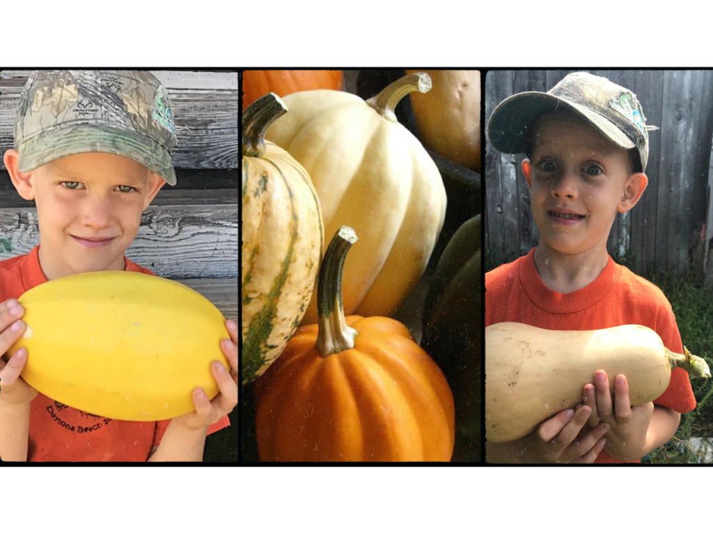 winter squash are great for winter farm to table eating