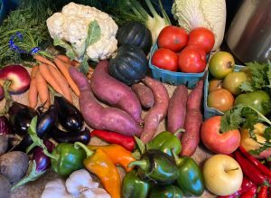 Read more about the article About Your Organic Farm Food: Market Box CSA – October 14, 2024