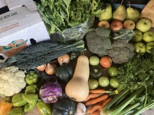 Read more about the article About Your Organic Farm Food: Market Box CSA – October 21, 2024