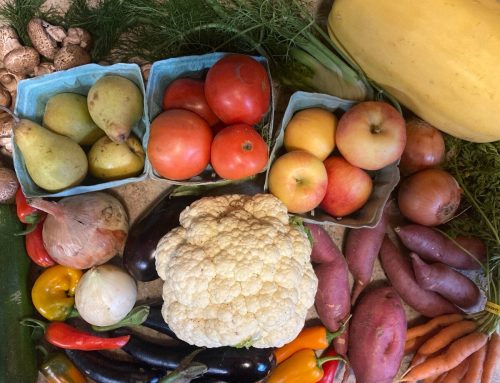 About Your Organic Farm Food: Market Box CSA – October 7, 2024