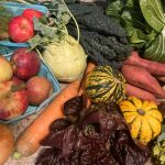 About Your Organic Farm Food: Market Box CSA – November 18, 2024