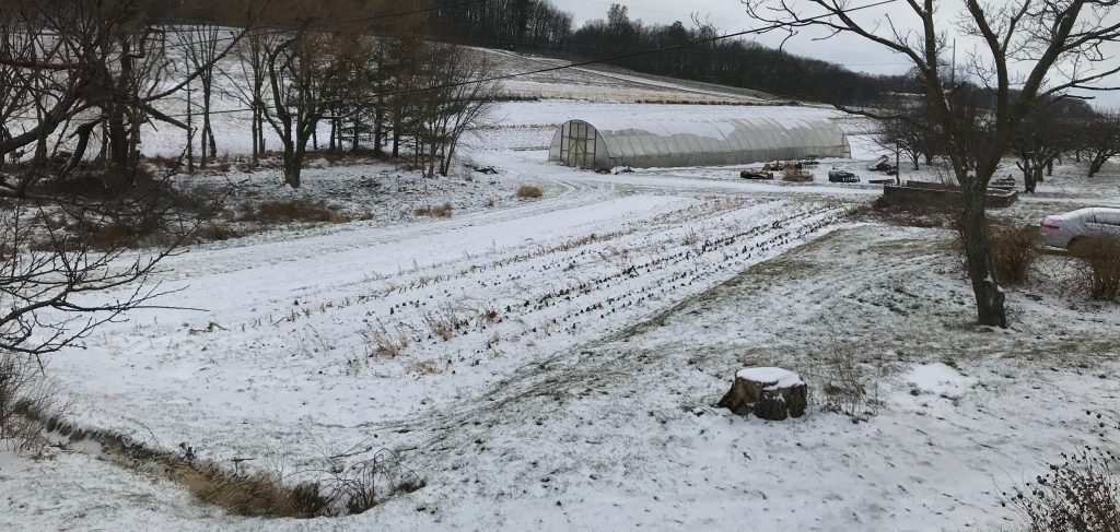 Winter farm organic vegetable truck patch with layer of snow