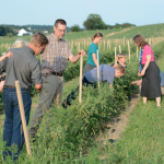 Is Joining a CSA Worth the Money?