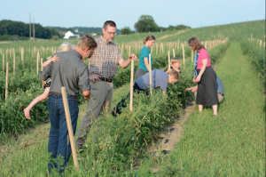 Read more about the article Is Joining a CSA Worth the Money?