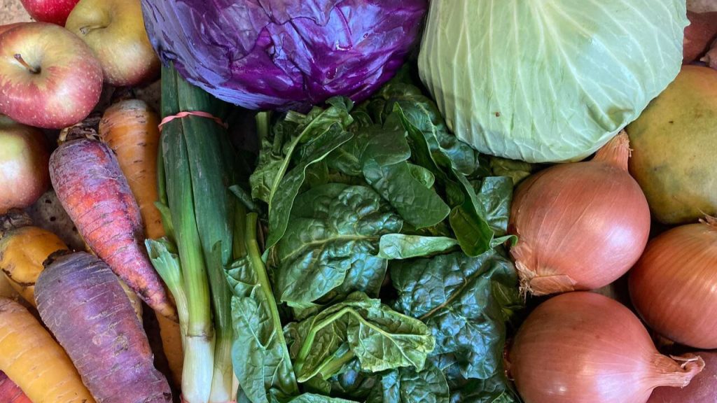 CSA vs Grocery Store 2