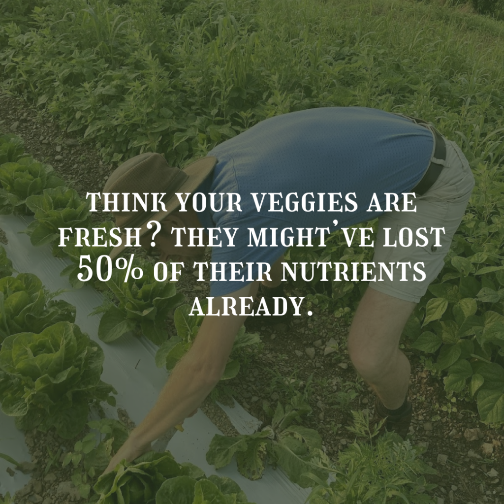 Farm Fresh Veggies at Willow Haven Farm - Ready for delivery