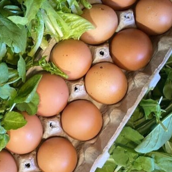 $20 Farm Credit | Willow Haven Farm – Organic Delivery Lehigh Valley 7