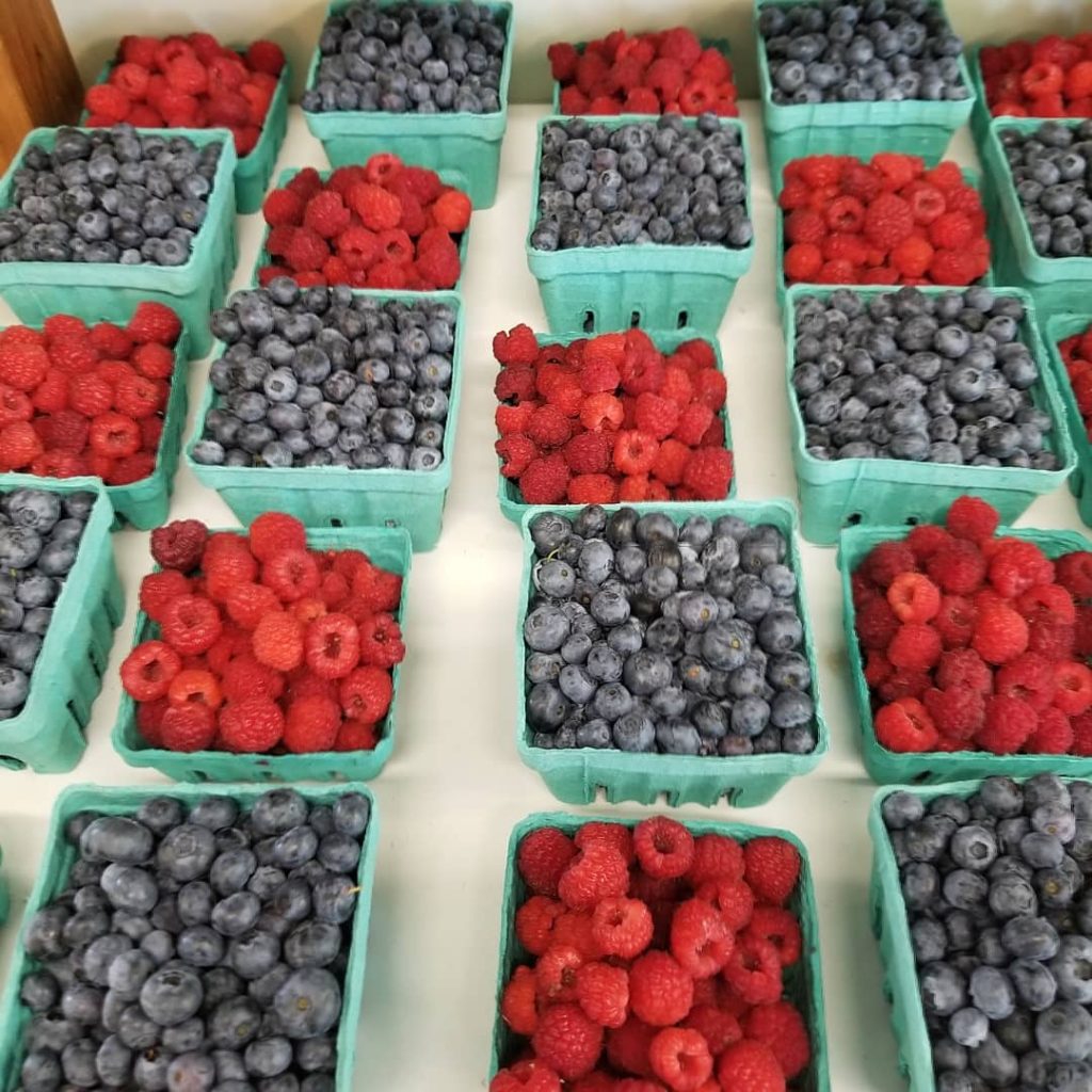 $20 Farm Credit | Willow Haven Farm – Organic Delivery Lehigh Valley 8