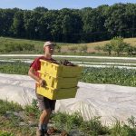 What’s the Difference Between a CSA and a Farmer’s Market?