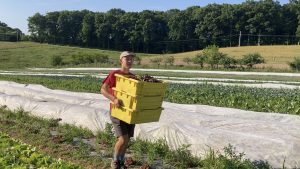 Read more about the article What’s the Difference Between a CSA and a Farmer’s Market?