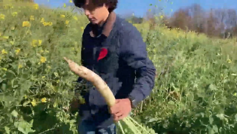 What is Regenerative Farming? 1