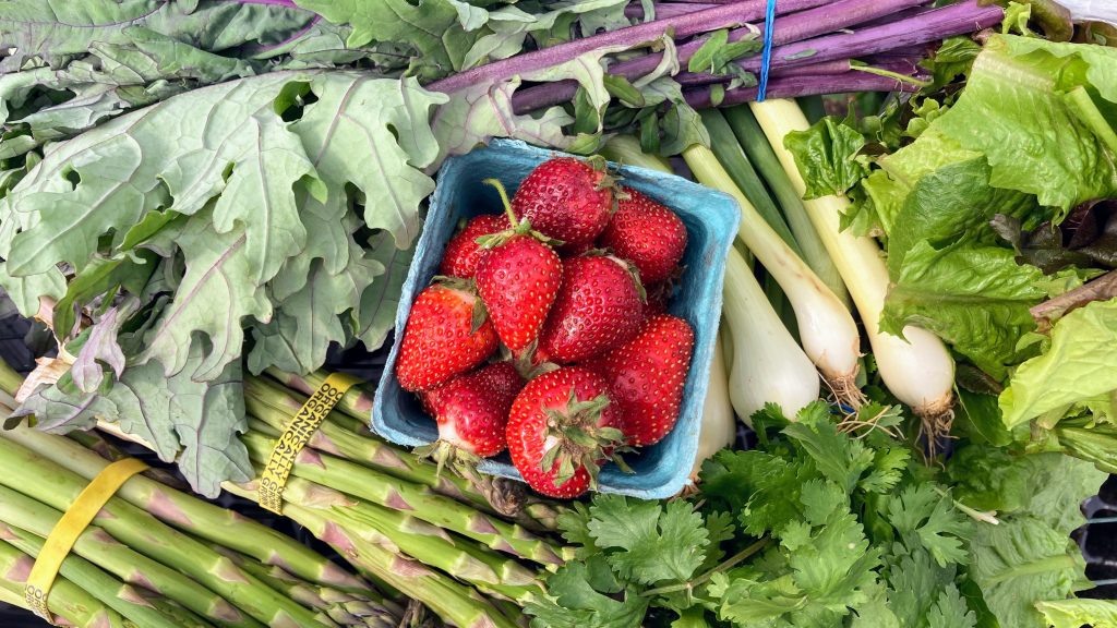 How to Get the Best Local Strawberries in the Lehigh Valley Before They’re Gone 13